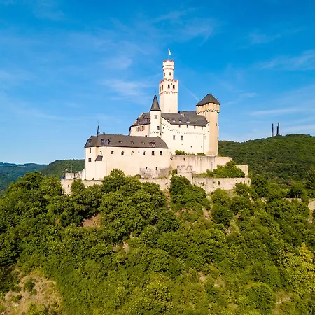 Akzent Roter Ochse Bei Koblenz Rhens