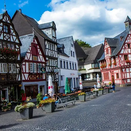 Akzent Roter Ochse Bei Koblenz Rhens
