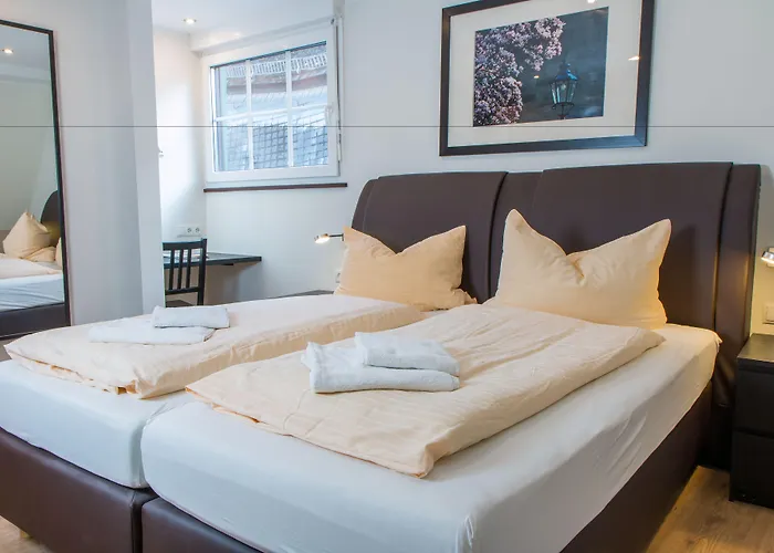 Hotel Akzent Restaurant Roter Ochse Bei Koblenz 3*